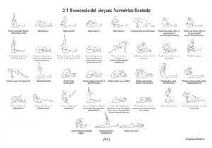Libro Manual Práctico del Yoga Vinyasa Krama