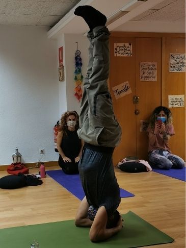 Curso de yoga vinyasa krama en Logroño 2020