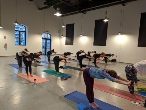 Master class de yoga vinyasa krama en el february fitness 2020