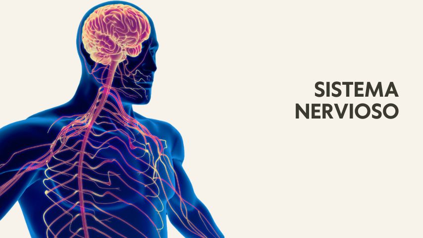 Curso online de yoga terapia Cikitsa Krama por Óscar Montero, basada en las enseñanzas de Srivatsa Ramaswami. Esta capacitación incluye módulos sobre los principales sistemas fisiológicos, y cómo los vinyasas, asanas, pranayama y la filosofía detrás del Vinyasa Krama, ofrece herramientas prácticas para profesores y practicantes para mantener la salud