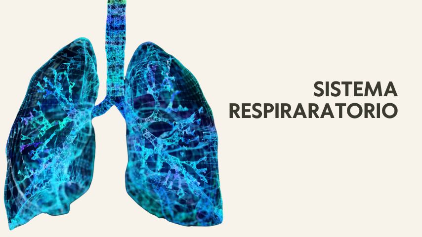 Curso online de yoga terapia Cikitsa Krama por Óscar Montero, basada en las enseñanzas de Srivatsa Ramaswami. Esta capacitación incluye módulos sobre los principales sistemas fisiológicos, y cómo los vinyasas, asanas, pranayama y la filosofía detrás del Vinyasa Krama, ofrece herramientas prácticas para profesores y practicantes para mantener la salud