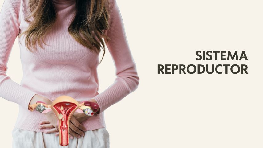 Curso online de yoga terapia Cikitsa Krama por Óscar Montero, basada en las enseñanzas de Srivatsa Ramaswami. Esta capacitación incluye módulos sobre los principales sistemas fisiológicos, y cómo los vinyasas, asanas, pranayama y la filosofía detrás del Vinyasa Krama, ofrece herramientas prácticas para profesores y practicantes para mantener la salud